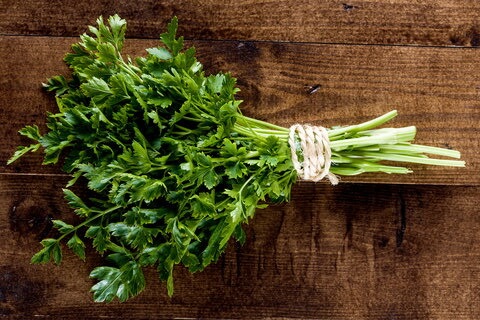 the-feast-breath-fresheners-parsley