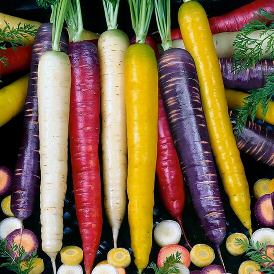 Фиолетовая, желтая, красная, белая морковь — Cateringoff.ru %